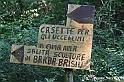 VBS_4667 - Il bosco fatato - Montaldo Roero